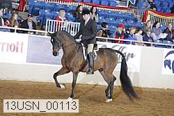 13usn_00113 proof