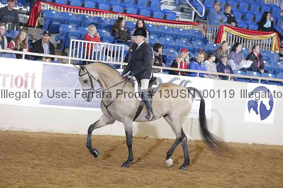 Proof 13usn_00119