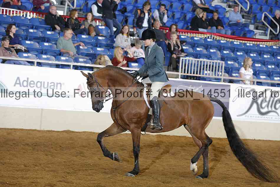 Proof 13usn_14551