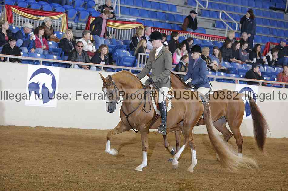 Proof 13usn_10382