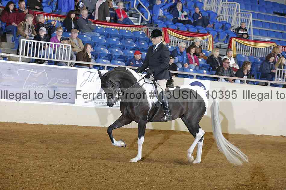 Proof 13usn_10395