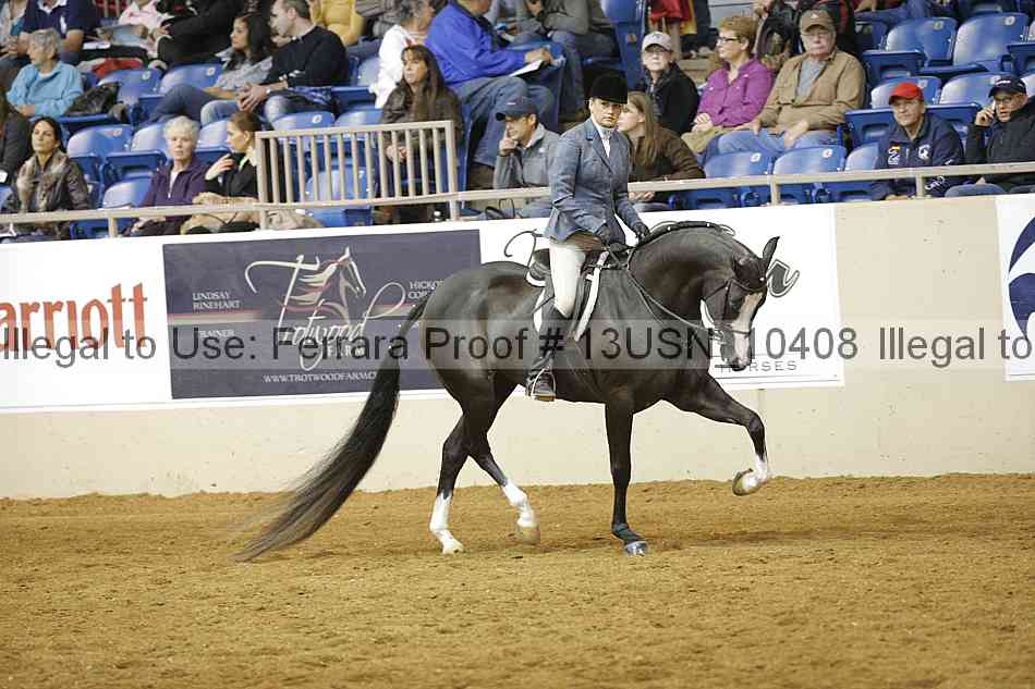 Proof 13usn_10408
