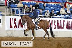 13usn_10431 proof