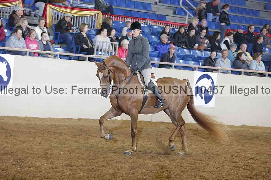 Proof 13usn_10457