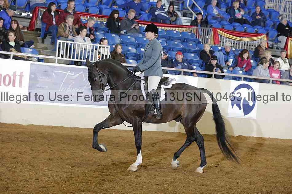 Proof 13usn_10463
