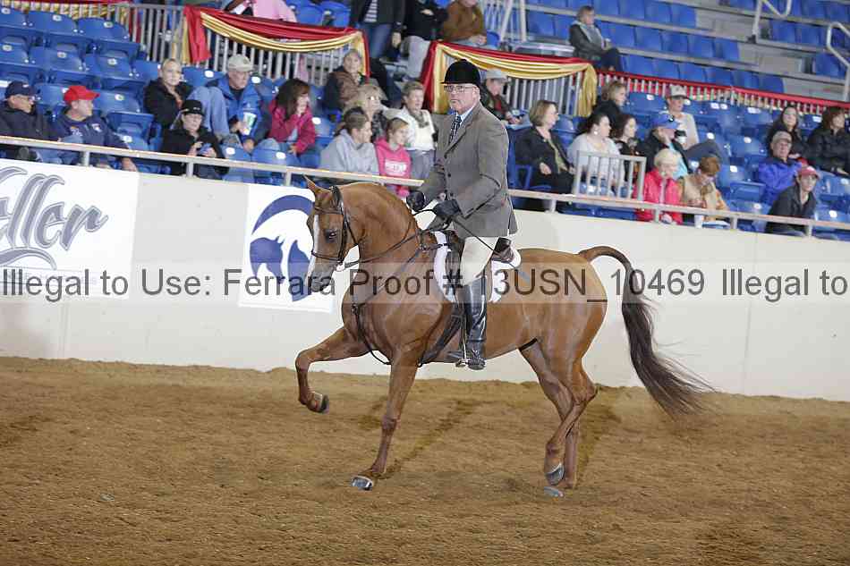 Proof 13usn_10469