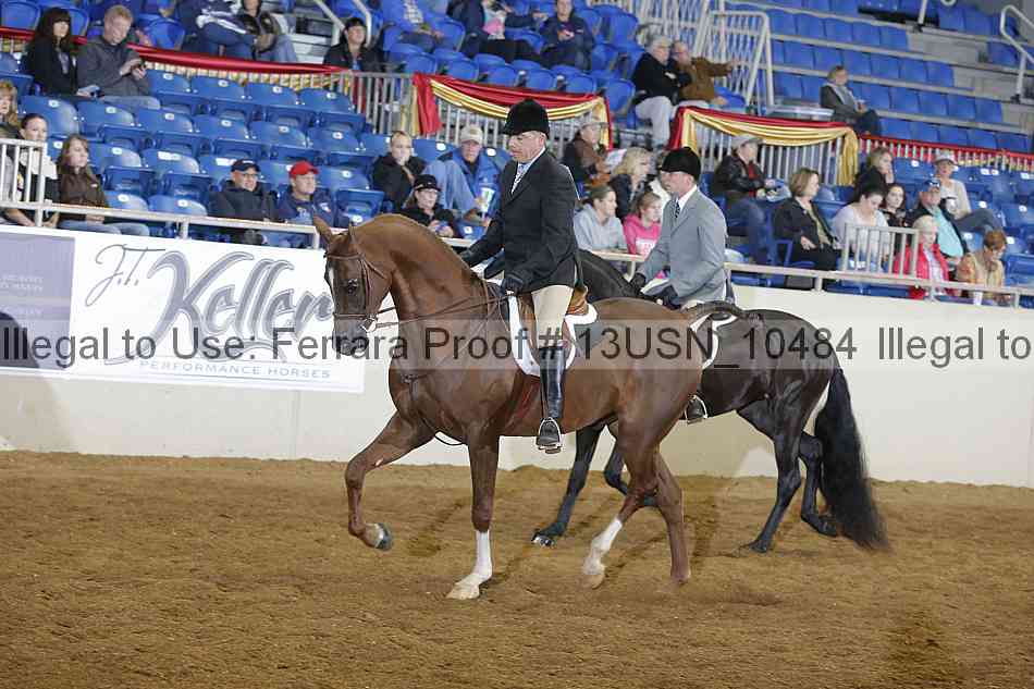 Proof 13usn_10484