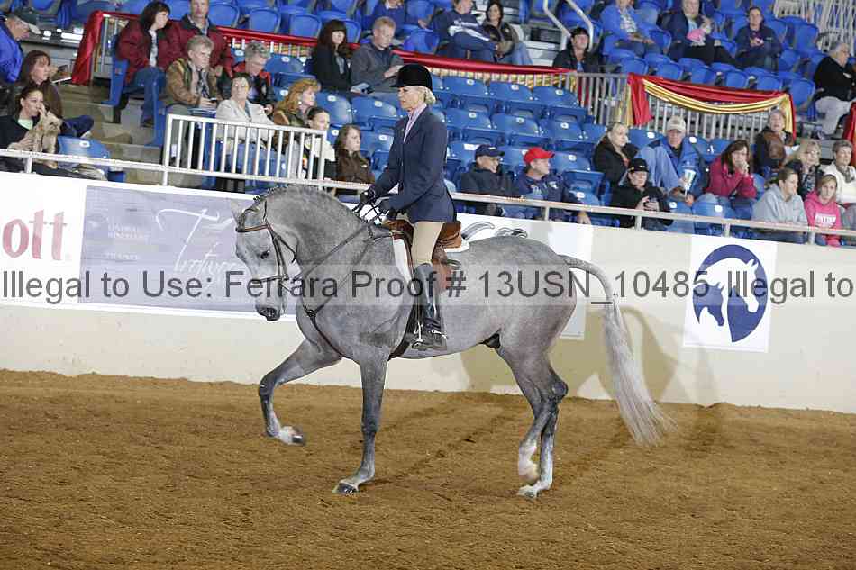 Proof 13usn_10485