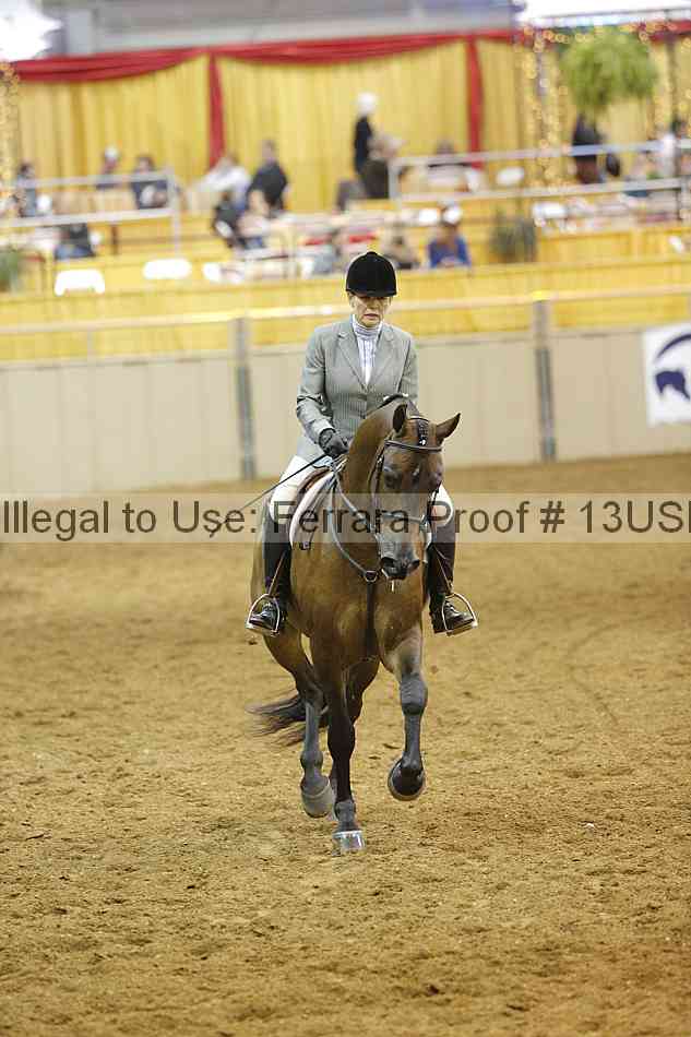 Proof 13usn_10489