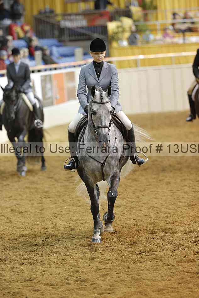 Proof 13usn_10493