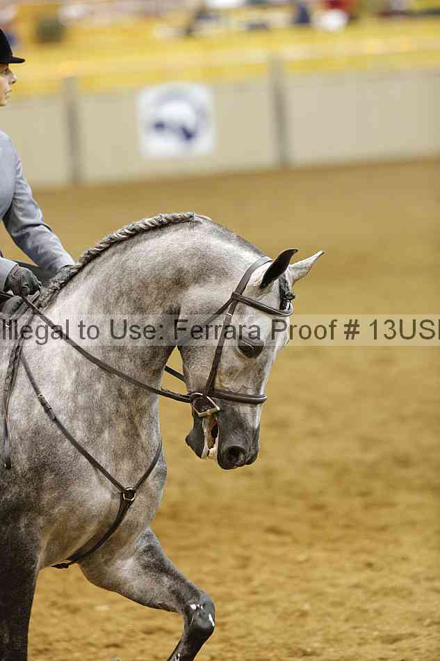 Proof 13usn_10494