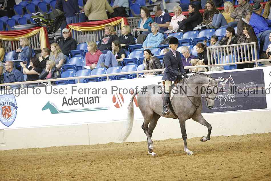 Proof 13usn_10504