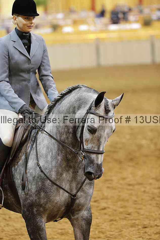 Proof 13usn_10536