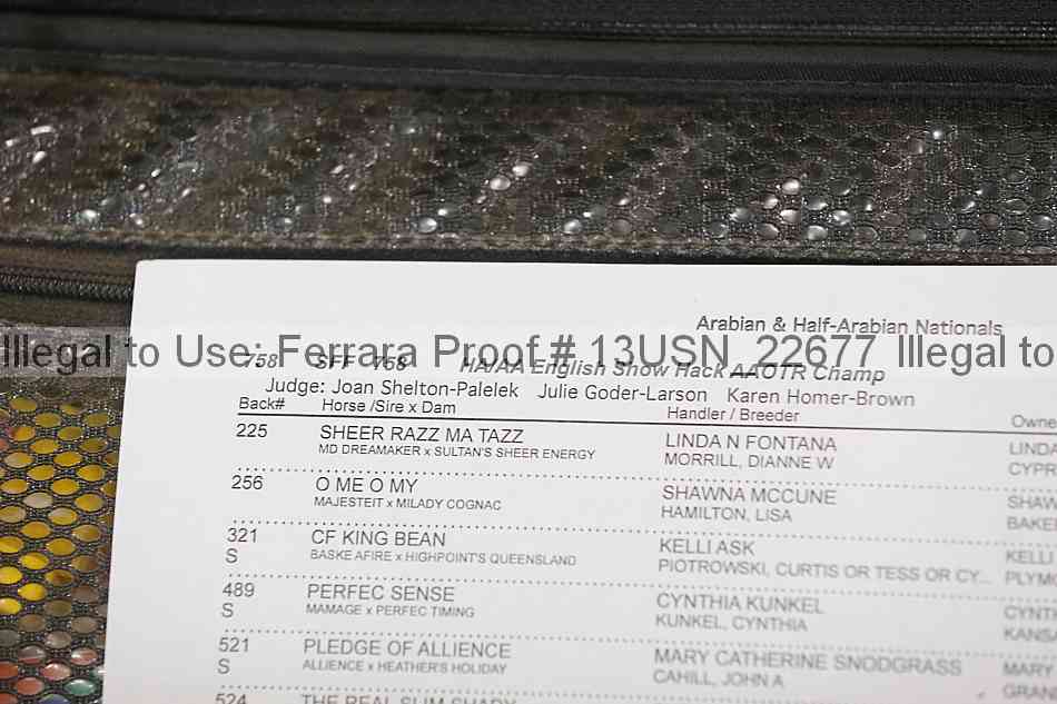 Proof 13usn_22677