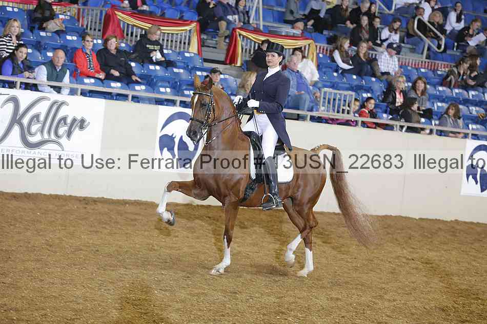 Proof 13usn_22683