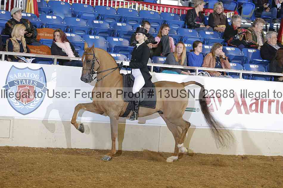 Proof 13usn_22688