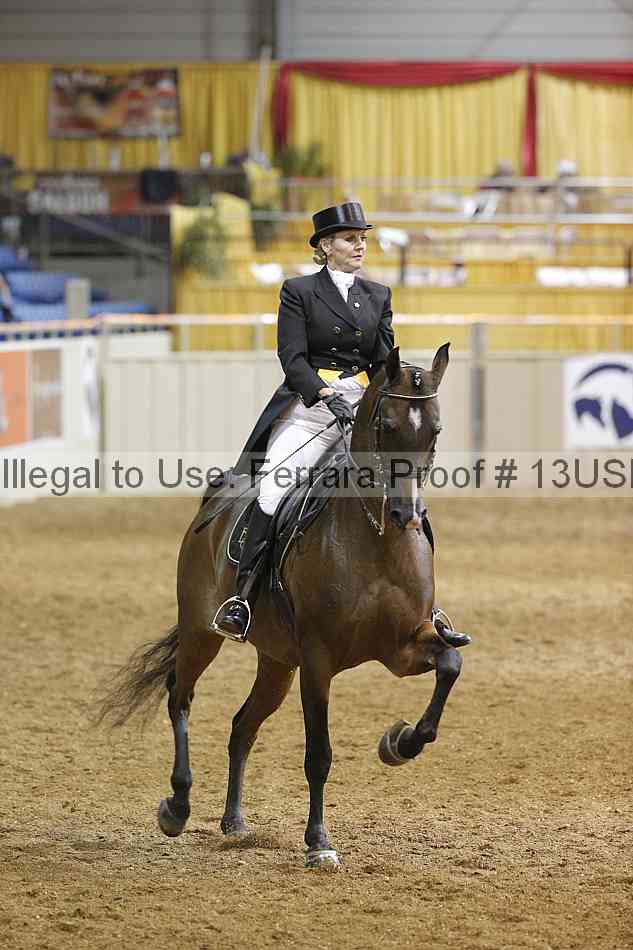 Proof 13usn_22693