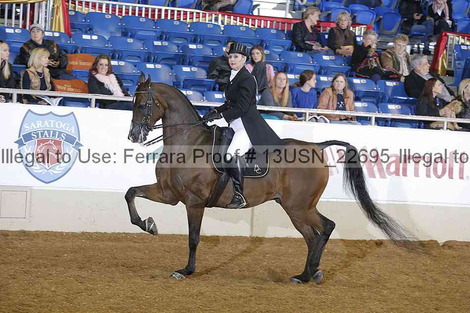 Proof 13usn_22695