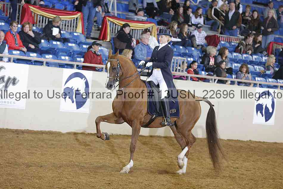 Proof 13usn_22696