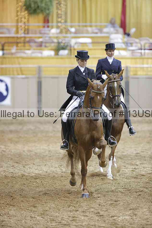 Proof 13usn_22703
