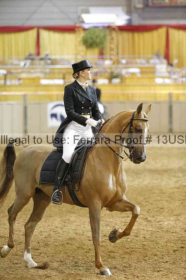 Proof 13usn_22705
