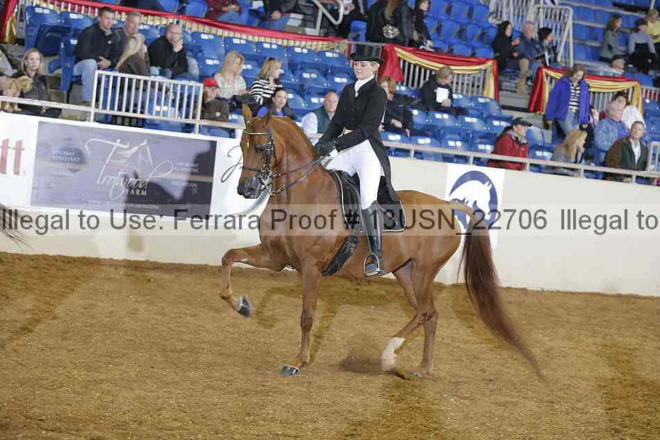 Proof 13usn_22706