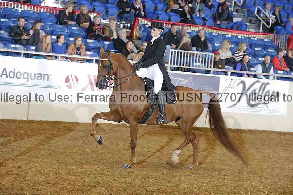 Proof 13usn_22707