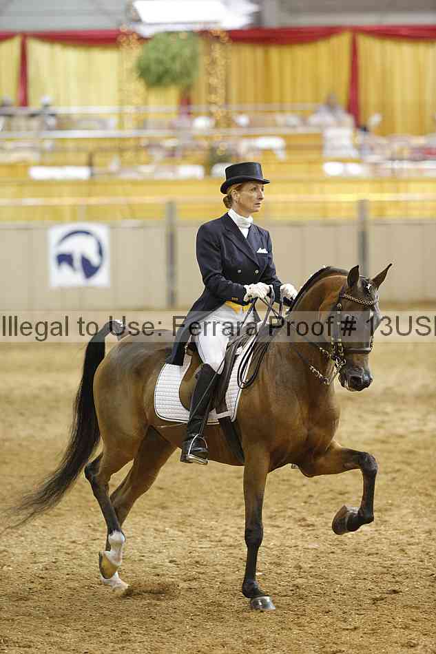 Proof 13usn_22708