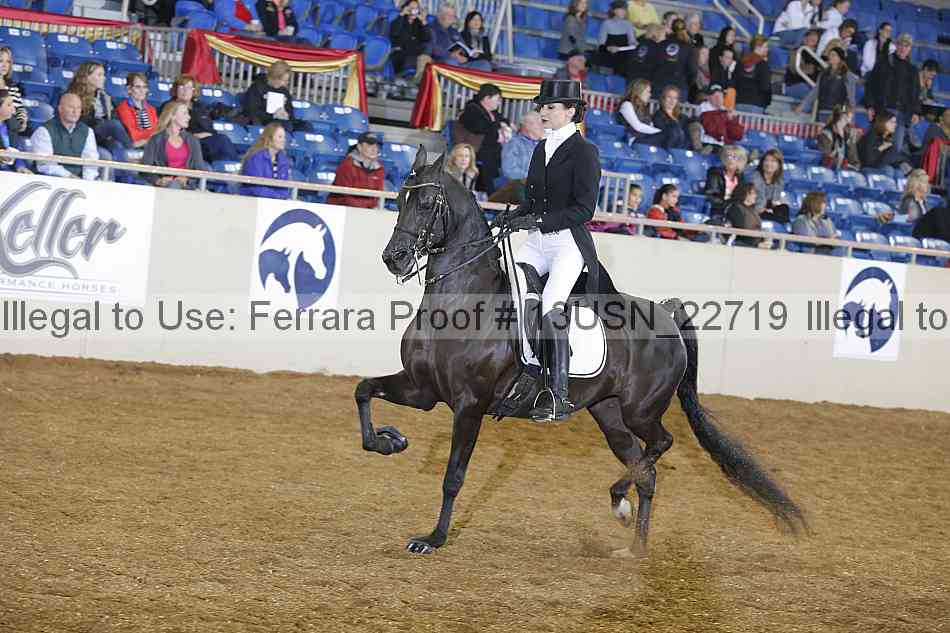 Proof 13usn_22719