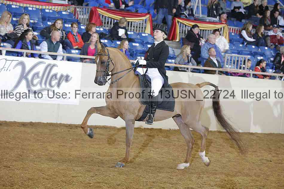 Proof 13usn_22724