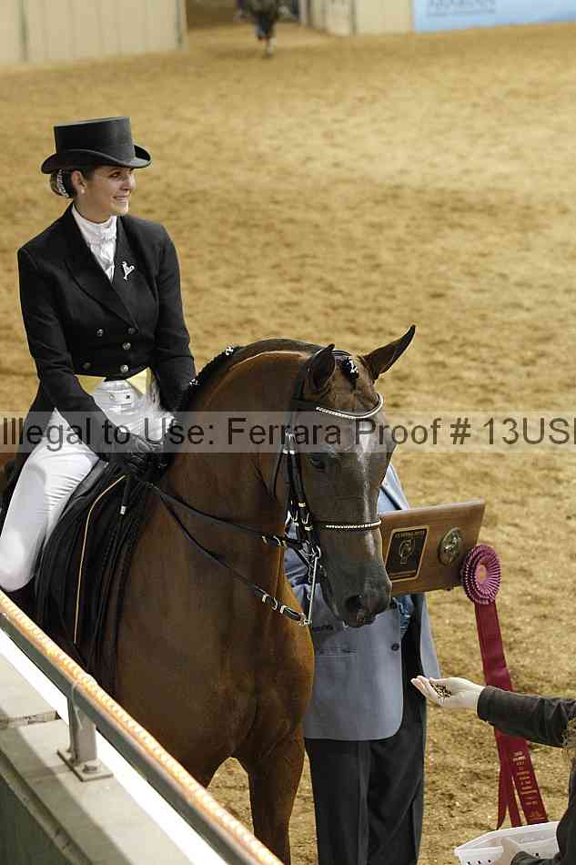 Proof 13usn_22746