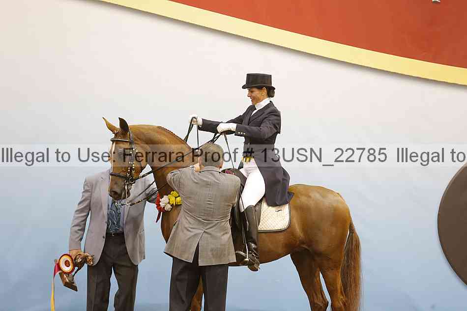 Proof 13usn_22785