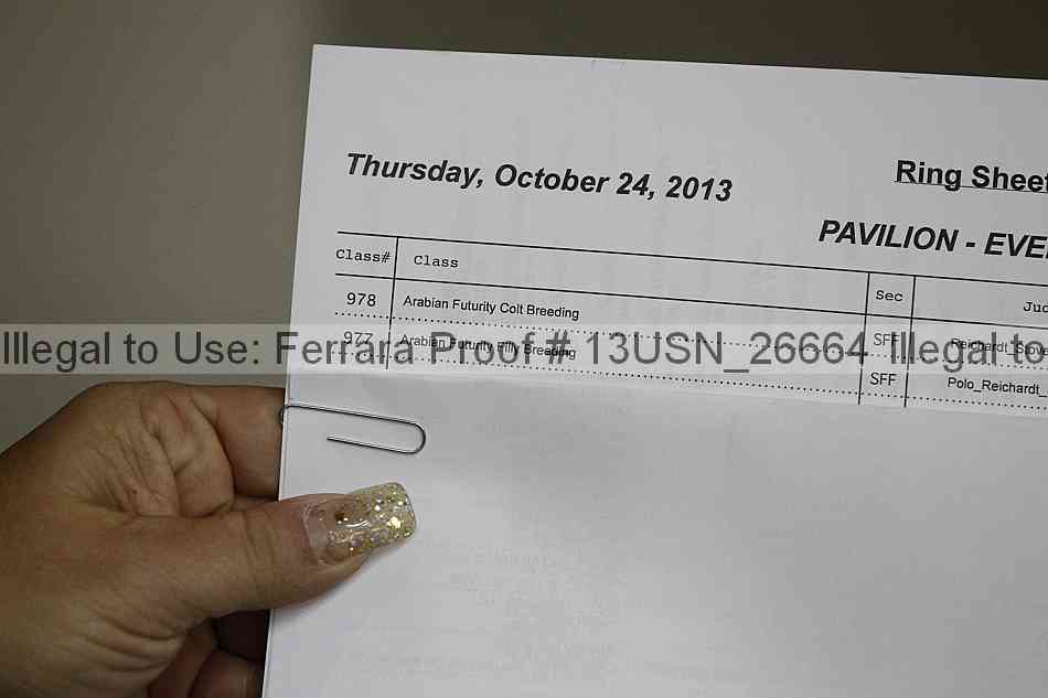 Proof 13usn_26664