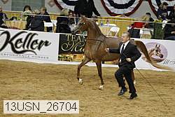 13usn_26704 proof