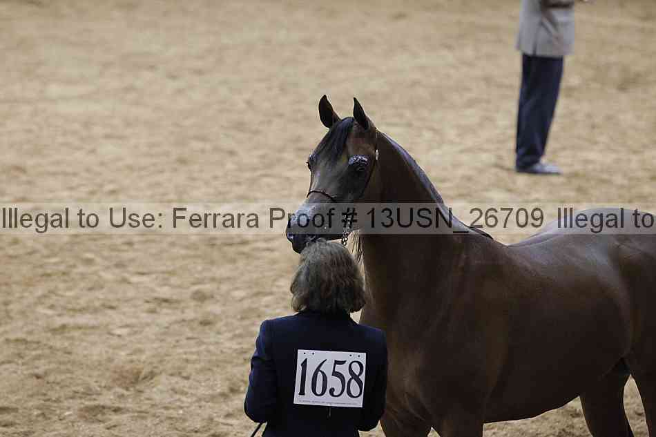 Proof 13usn_26709