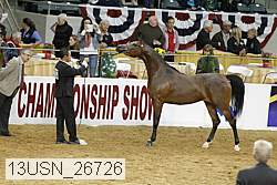 13usn_26726 proof
