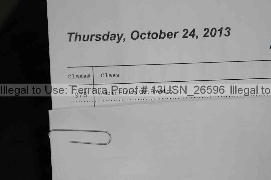 Proof 13usn_26596
