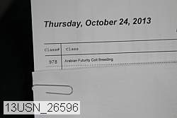 13usn_26596 proof