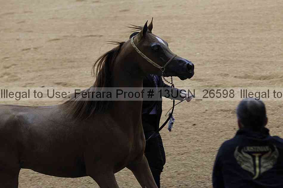 Proof 13usn_26598