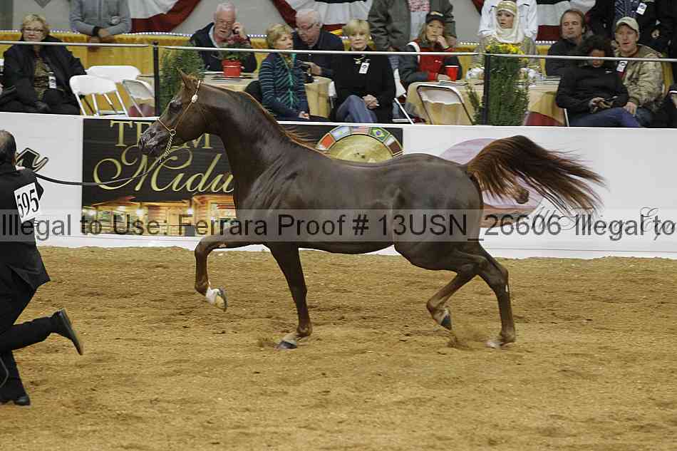 Proof 13usn_26606