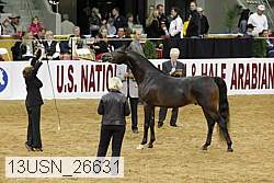 13usn_26631 proof