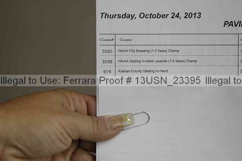 Proof 13usn_23395