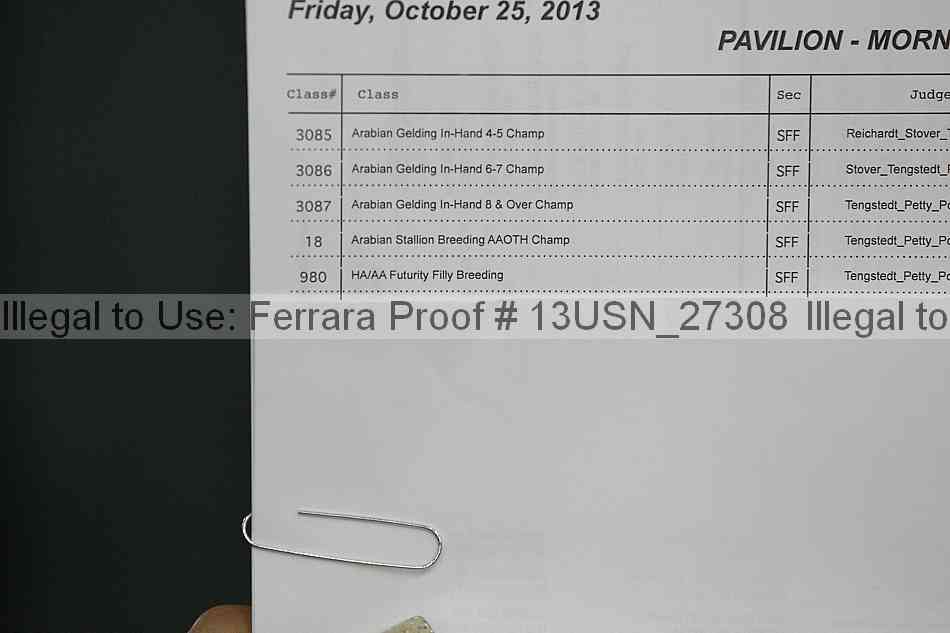 Proof 13usn_27308