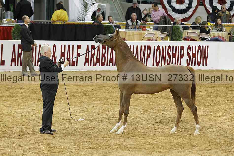 Proof 13usn_27332