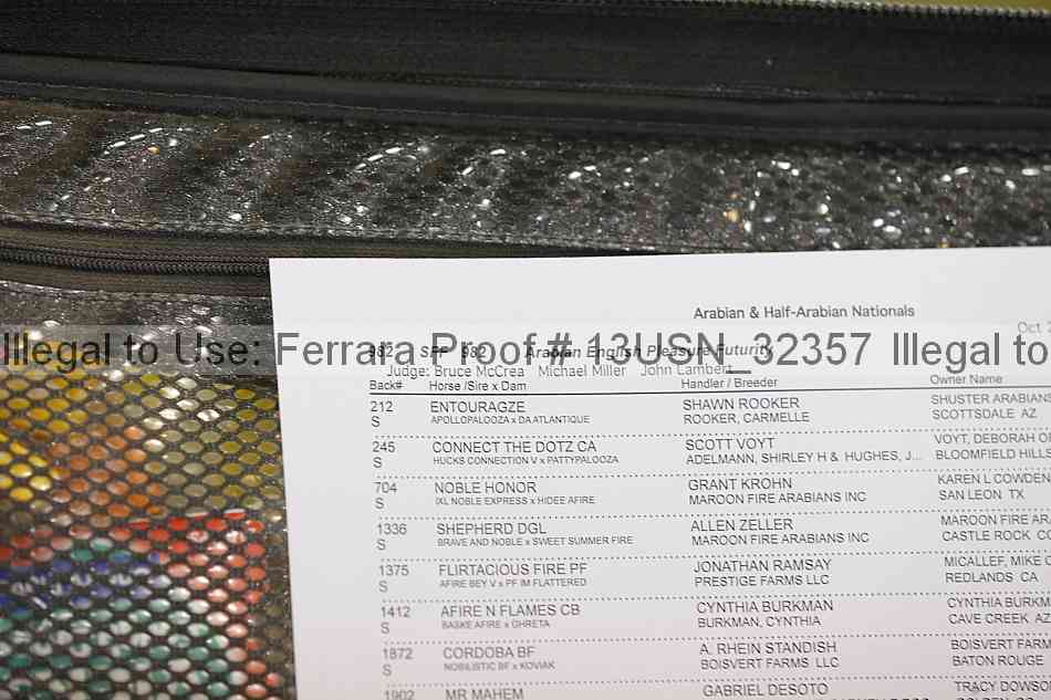 Proof 13usn_32357