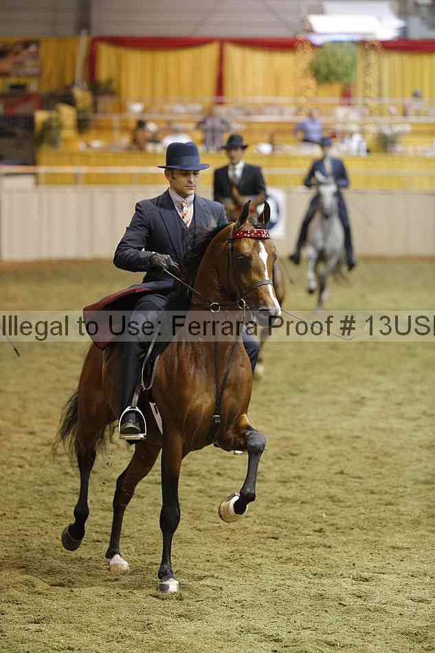 Proof 13usn_32374