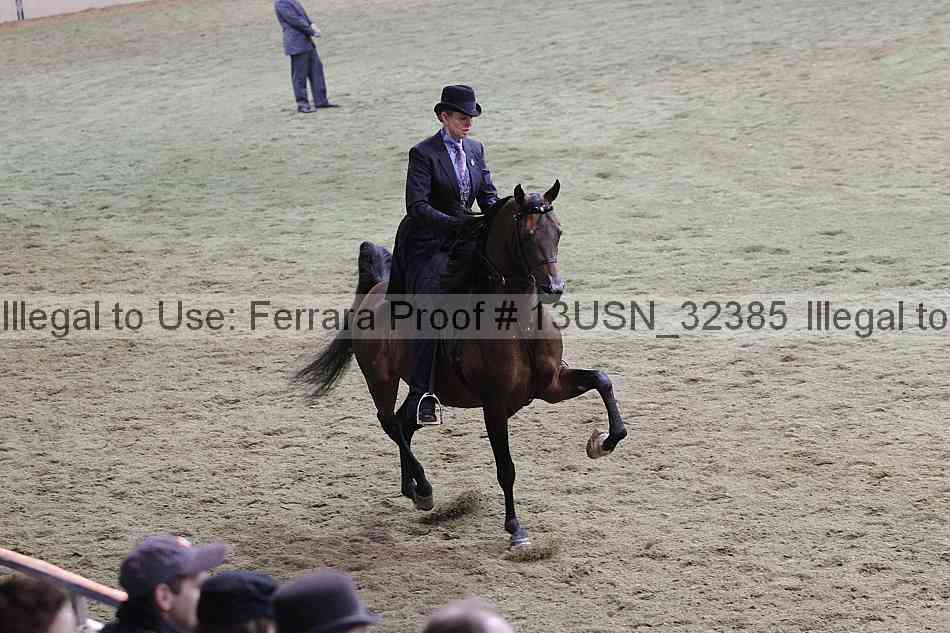 Proof 13usn_32385