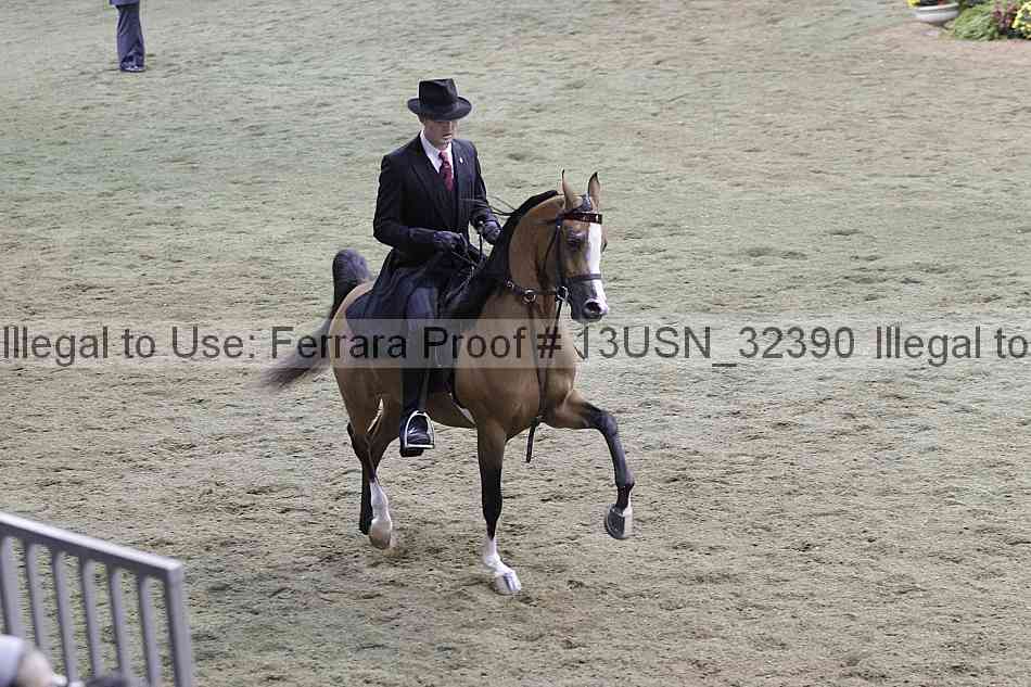 Proof 13usn_32390