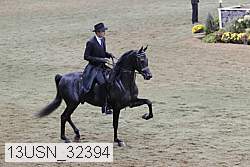 13usn_32394 proof