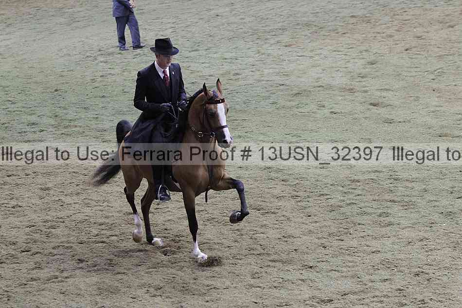 Proof 13usn_32397
